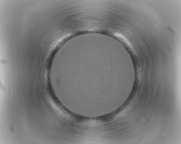 X0000091180542200708091224