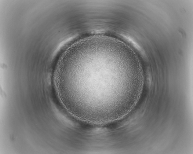 X0000091180543200708091224