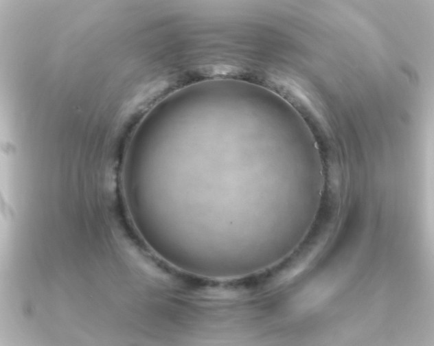 X0000091180545200708091224