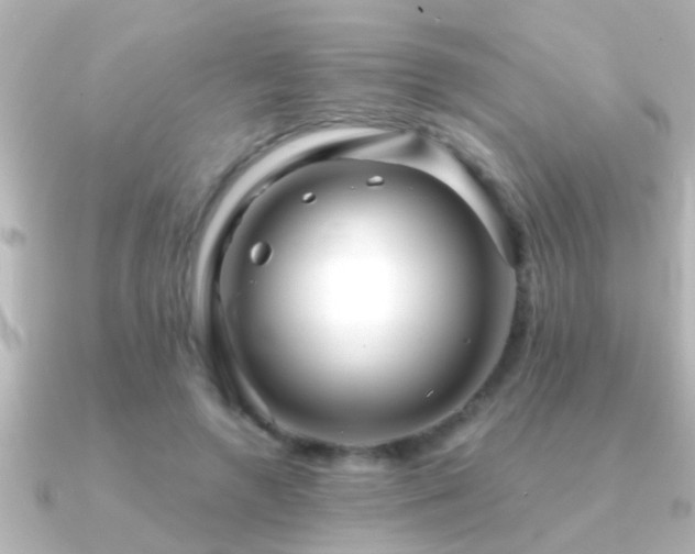 X0000091180546200708091224