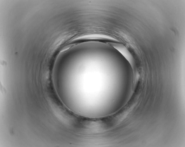 X0000091180548200708091224
