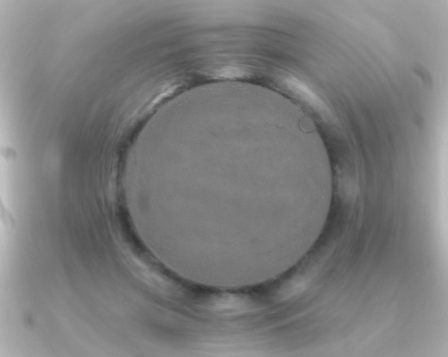 X0000091180549200708091224