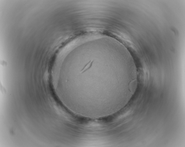 X0000091180550200708091224
