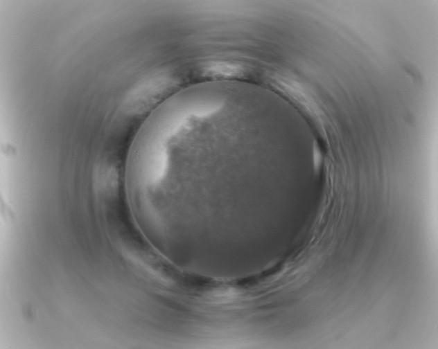 X0000091180551200708091224