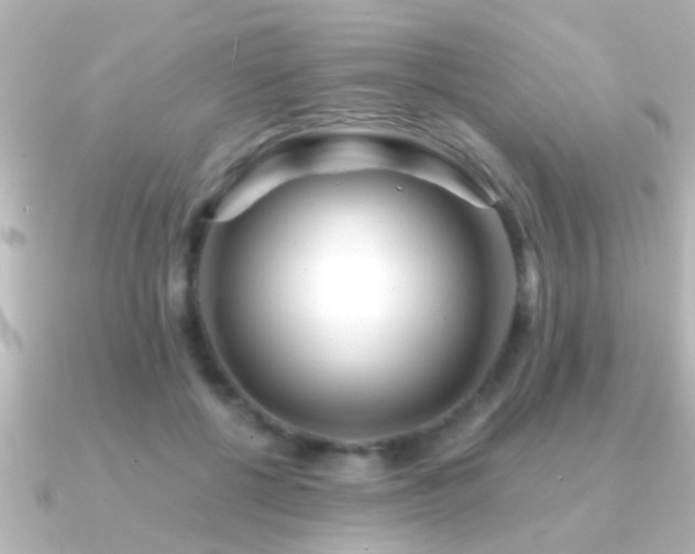 X0000091180552200708091224