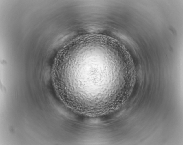 X0000091180554200708091224