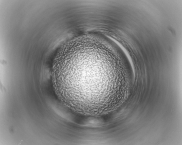 X0000091180555200708091224