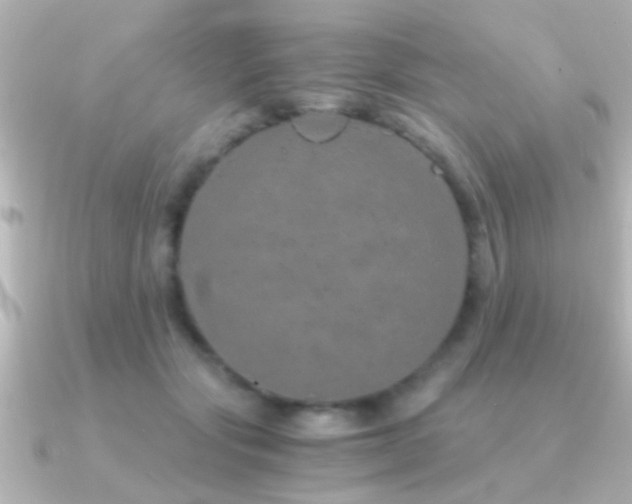 X0000091180557200708091224
