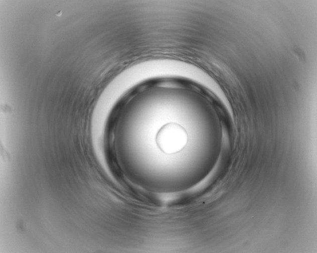 X0000091180558200708091224