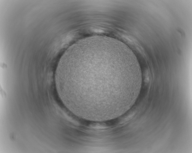 X0000091180559200708091224