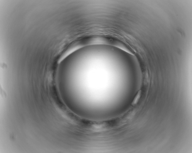 X0000091180560200708091224