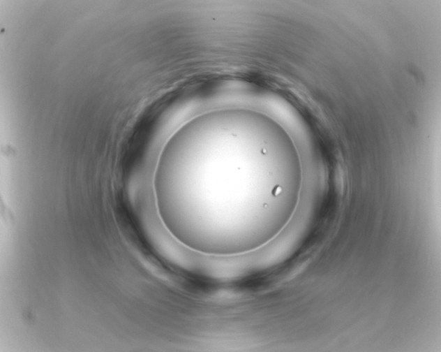 X0000091180564200708091224