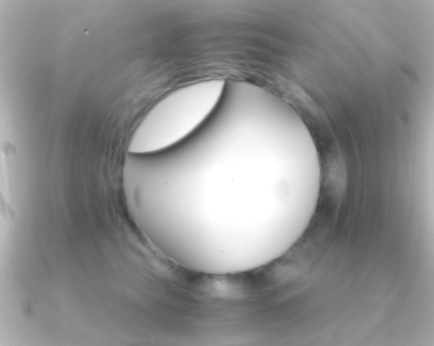 X0000091180565200708091224