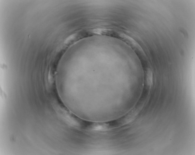 X0000091180569200708091224