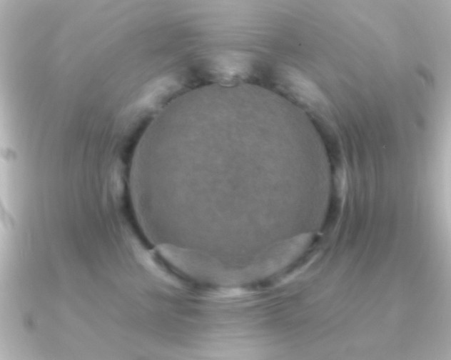X0000091180570200708091224