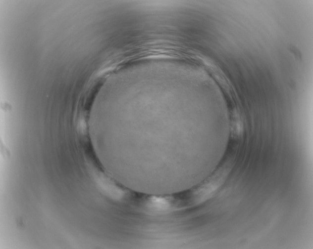 X0000091180573200708091224