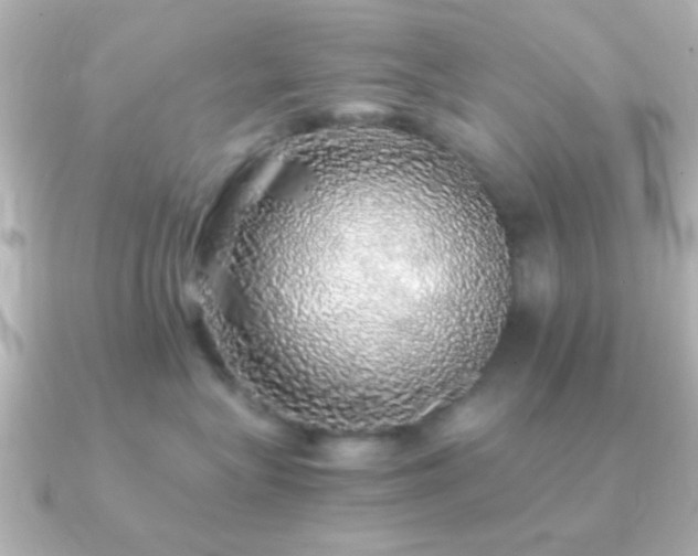 X0000091180575200708091224