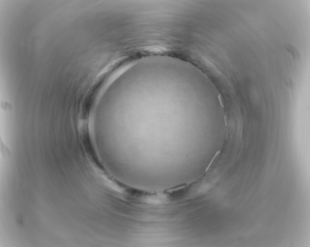 X0000091180576200708091224