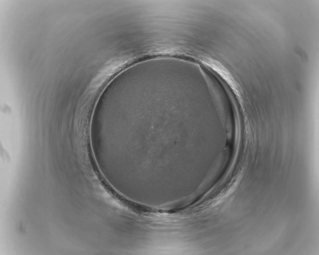 X0000091180577200708091223