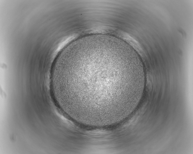 X0000091180578200708091223
