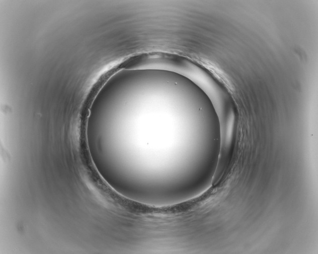 X0000091180580200708091223