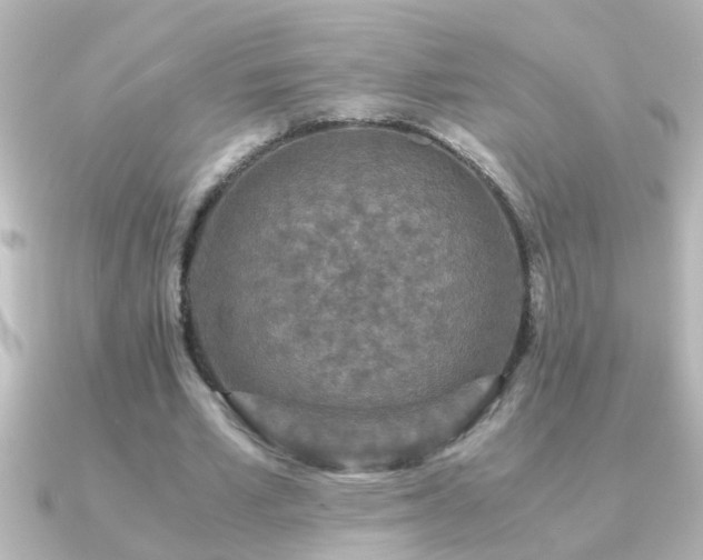 X0000091180581200708091223