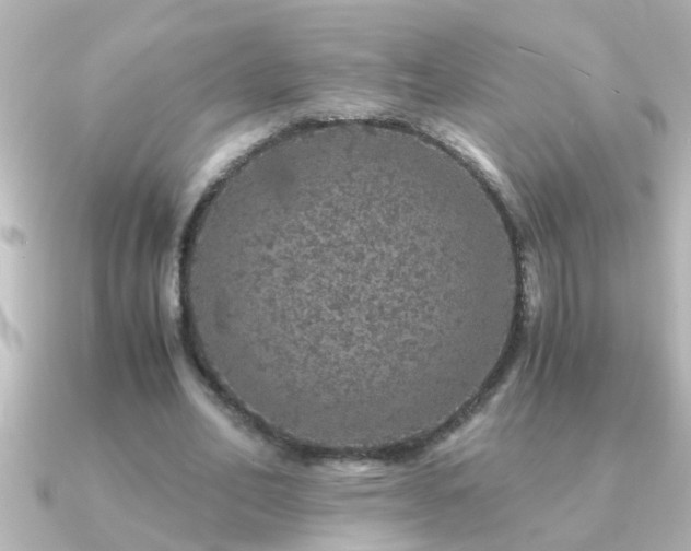 X0000091180582200708091223