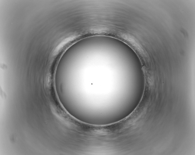 X0000091180583200708091223