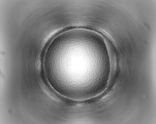 X0000091180584200708091223