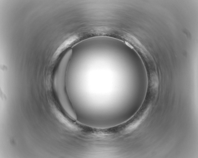 X0000091180585200708091223