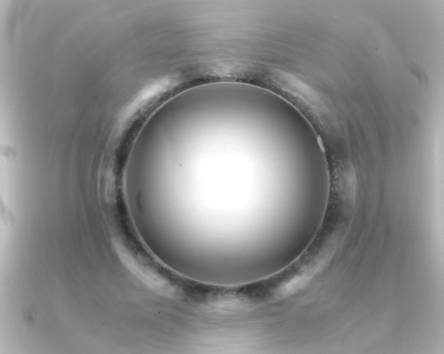 X0000091180587200708091223