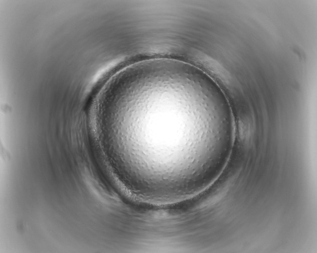 X0000091180588200708091223