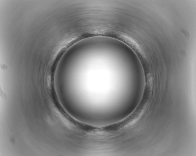 X0000091180589200708091223