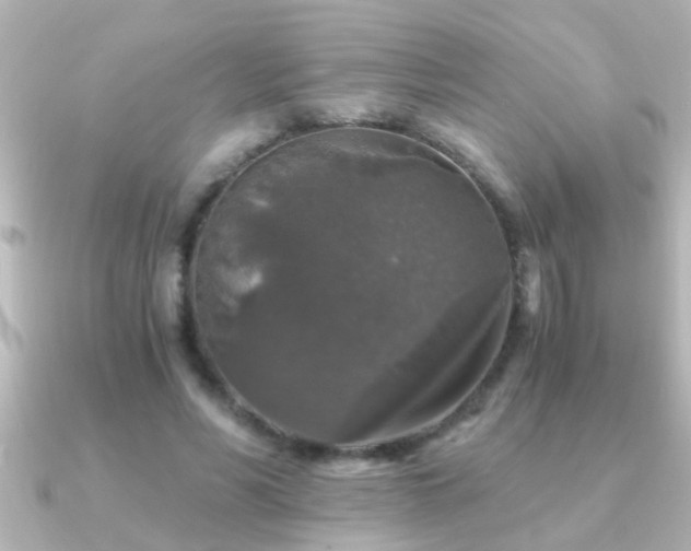 X0000091180590200708091223