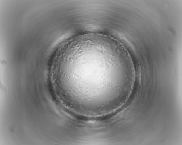 X0000091180591200708091223