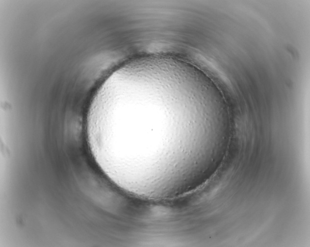 X0000091180592200708091223