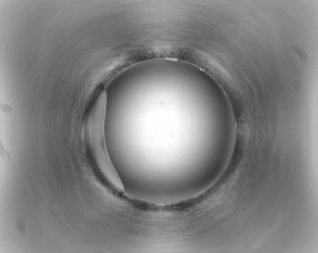 X0000091180593200708091223