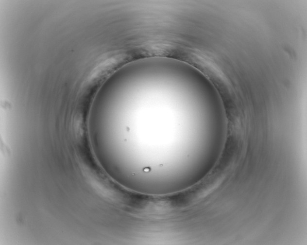 X0000091180599200708091223