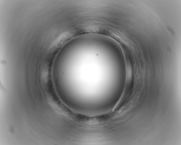X0000091180600200708091223
