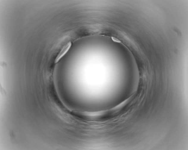 X0000091180601200708091223