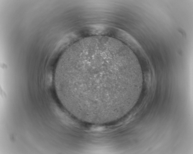 X0000091180602200708091223