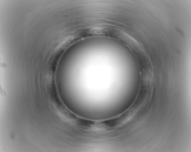 X0000091180603200708091223