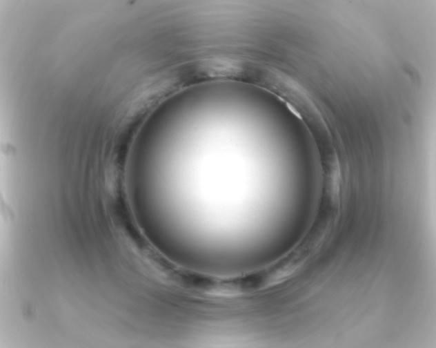 X0000091180604200708091223