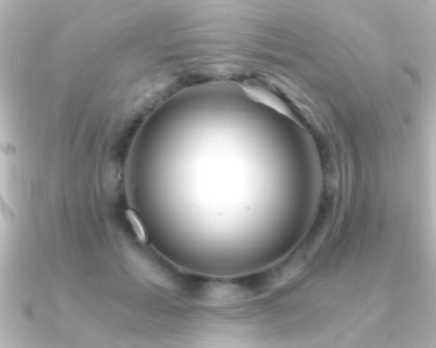 X0000091180605200708091223