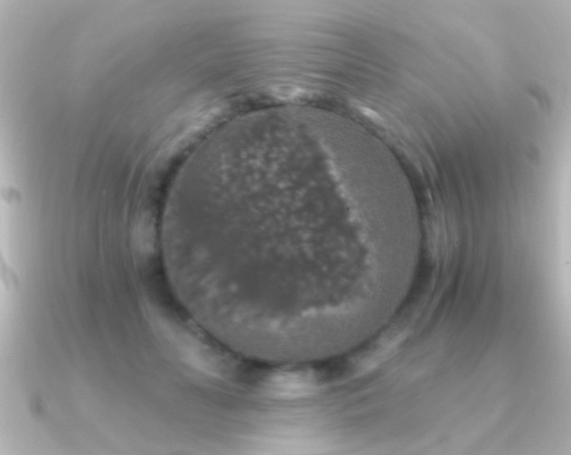 X0000091180606200708091223