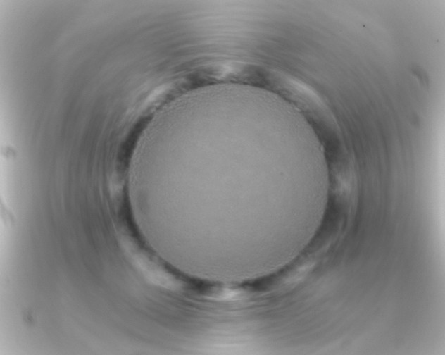 X0000091180607200708091223