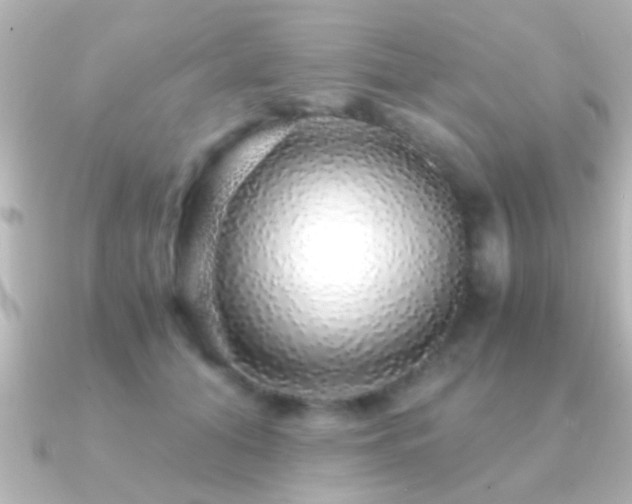 X0000091180608200708091223