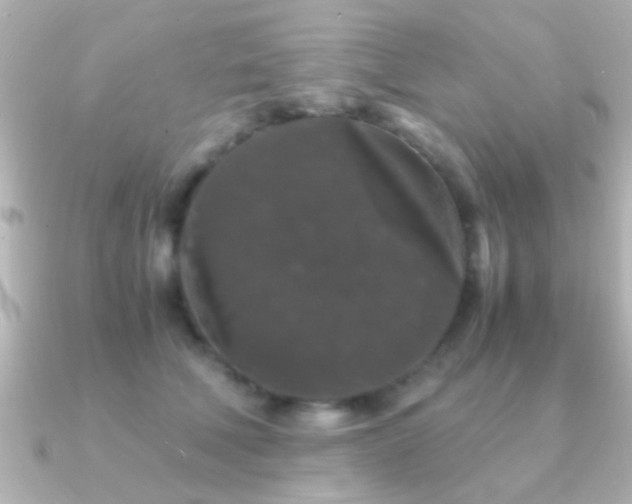 X0000091180610200708091223