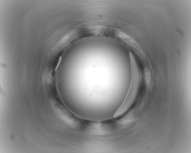 X0000091180611200708091223