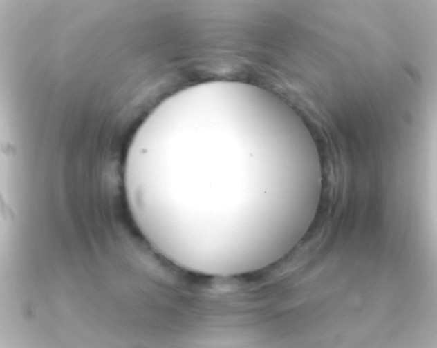 X0000091180612200708091223